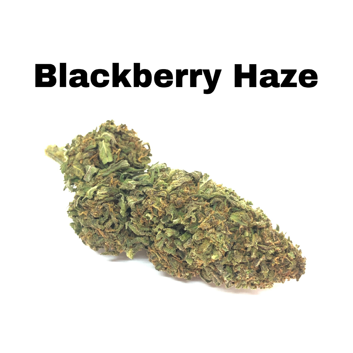 Blackberry Haze CBD Hemp Flower
