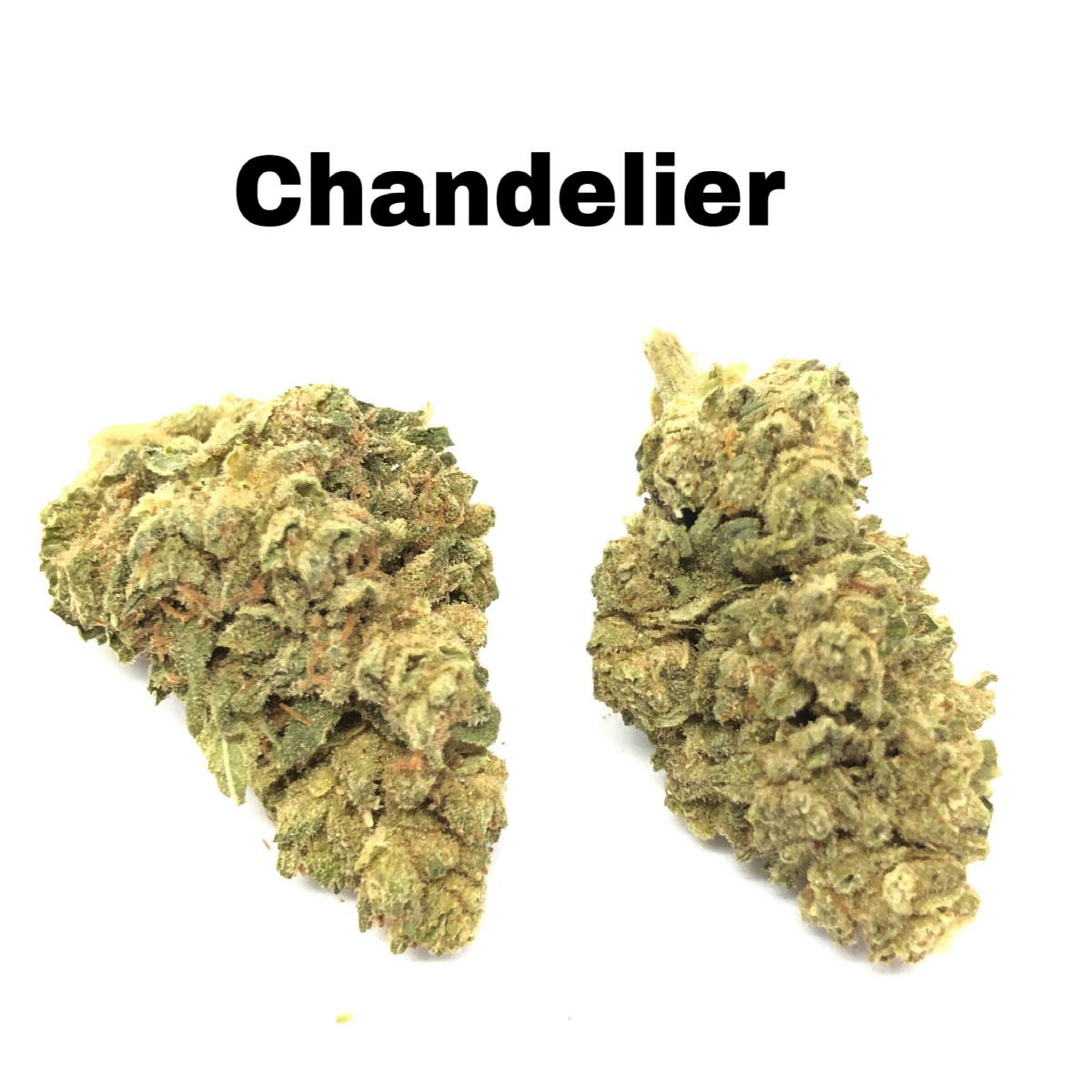 Chandelier CBD Hemp Flower