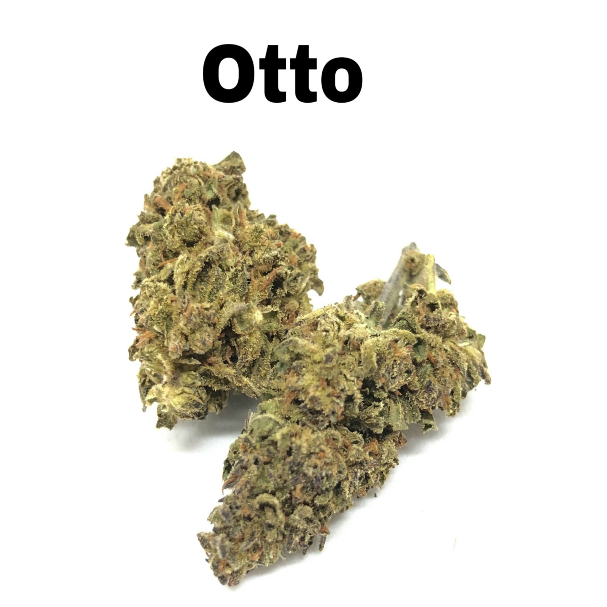 Otto CBD Hemp Flower
