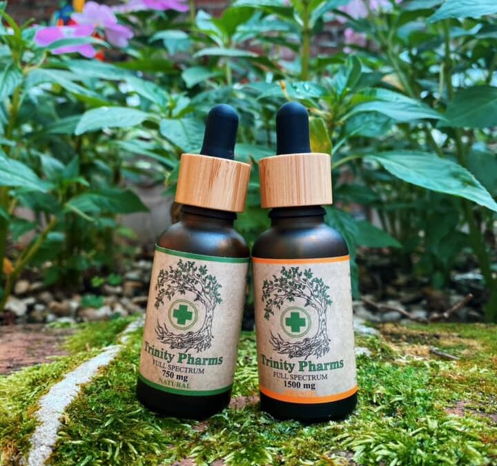 CBD Tinctures and Bioavailability