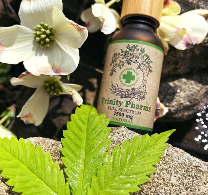 What Is CBD Tincture?