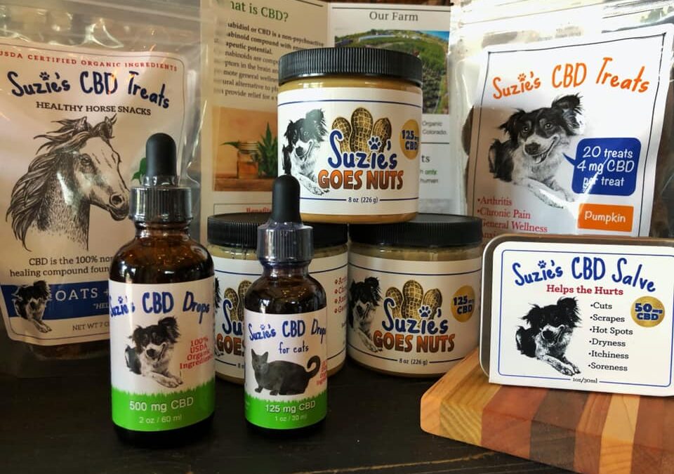 CBD for Dogs